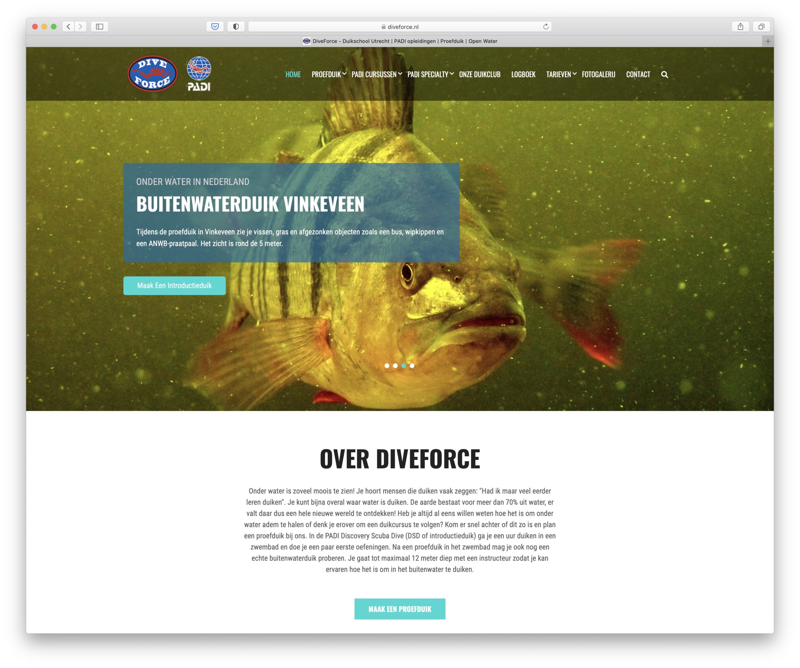 Website DiveForce