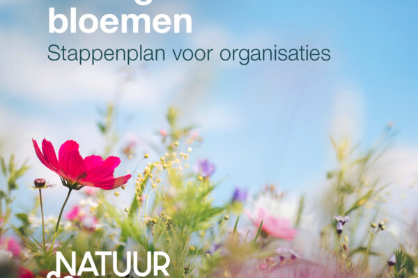 Natuur & Milieu