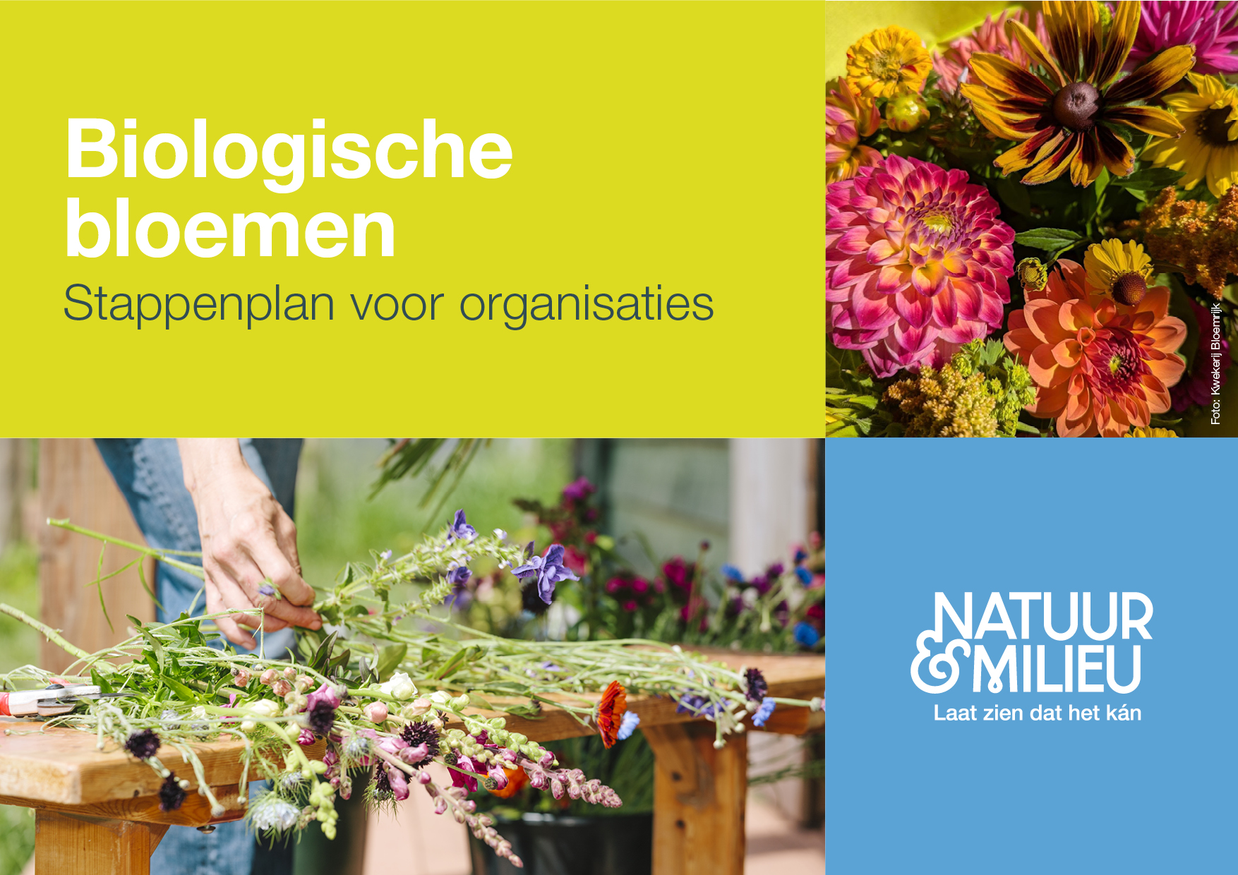 Natuur & Milieu Stappenplan biologische bloemen