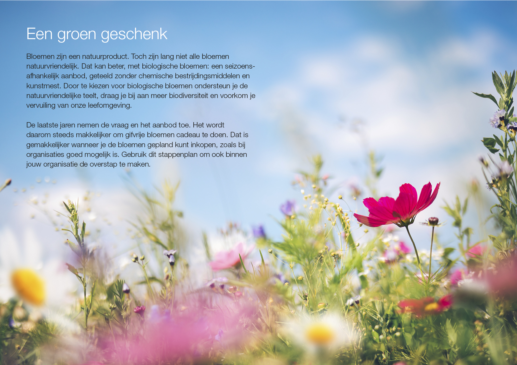 Natuur & Milieu Stappenplan biologische bloemen