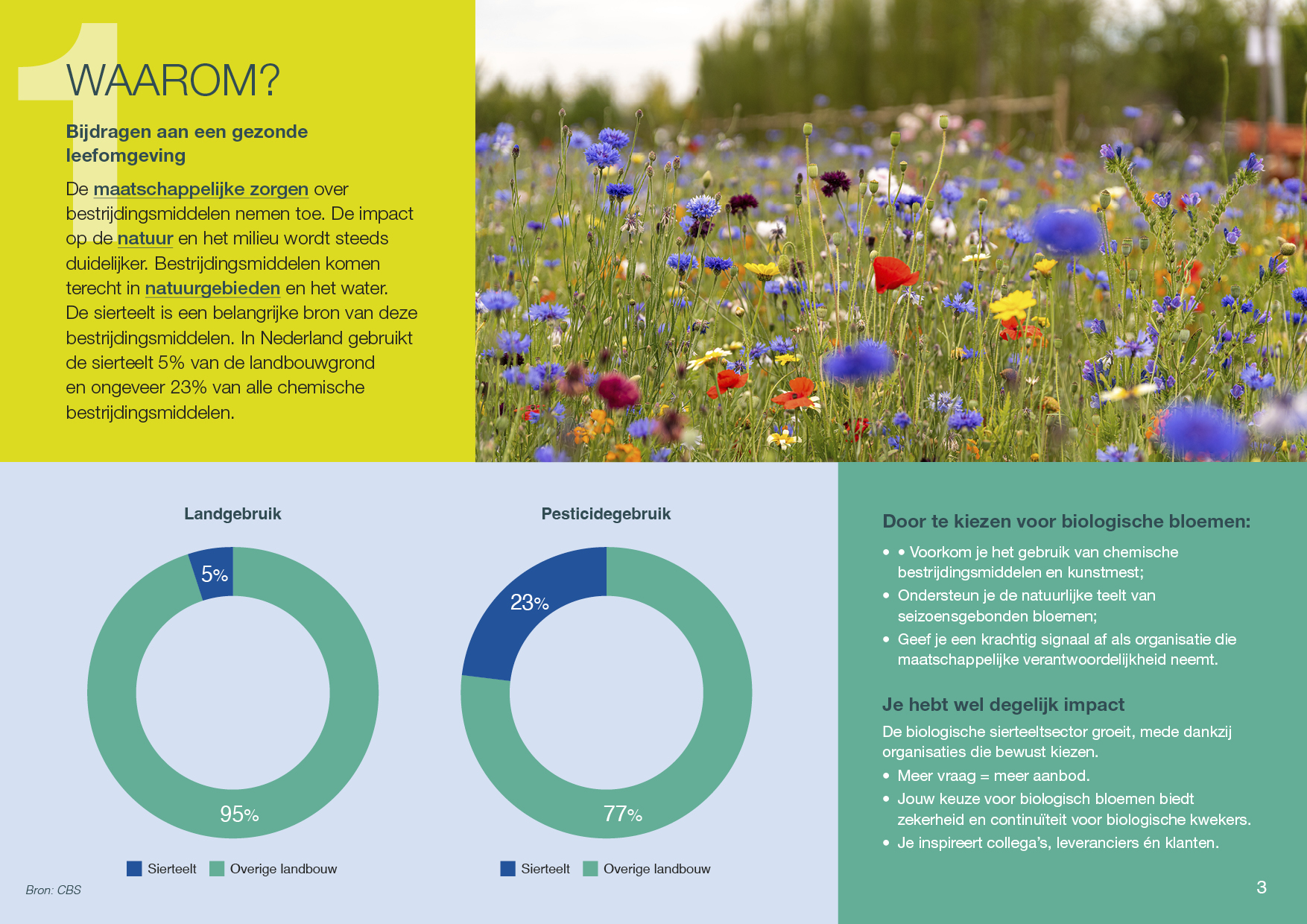 Natuur & Milieu Stappenplan biologische bloemen