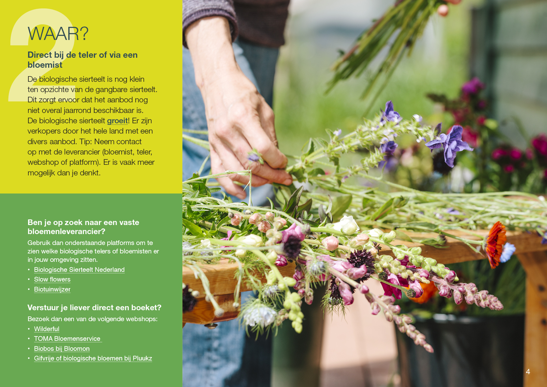 Natuur & Milieu Stappenplan biologische bloemen