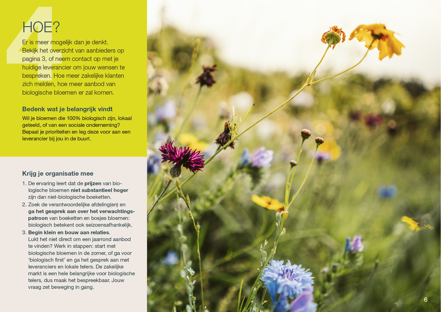 Natuur & Milieu Stappenplan biologische bloemen